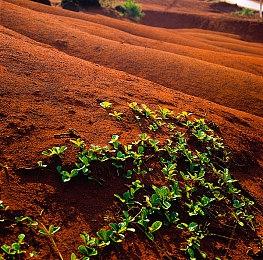 大宇恋爱模拟《Voice Love on Air》上架Steam 今春发售